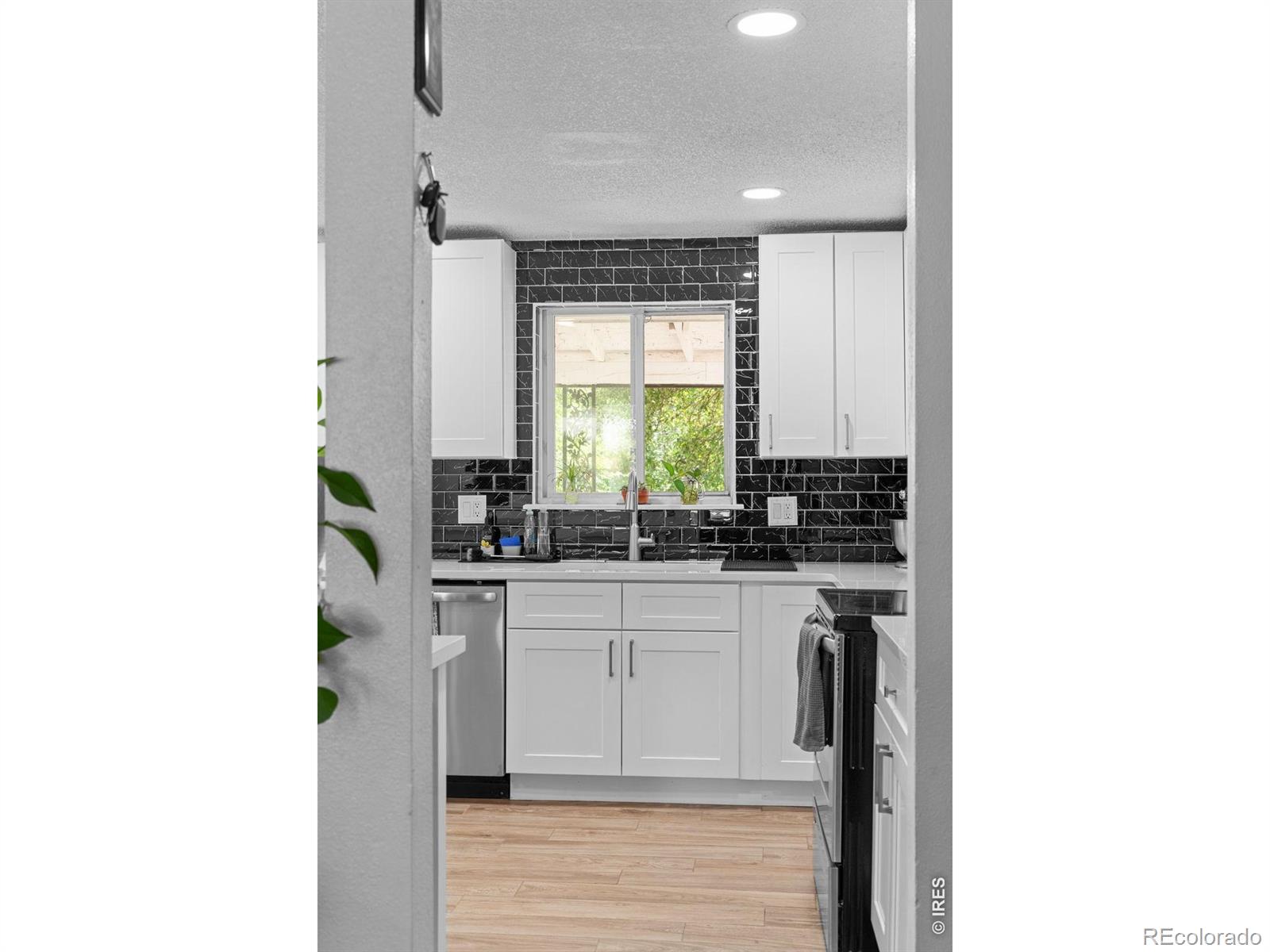 927 E 4th Avenue Longmont CO 80504