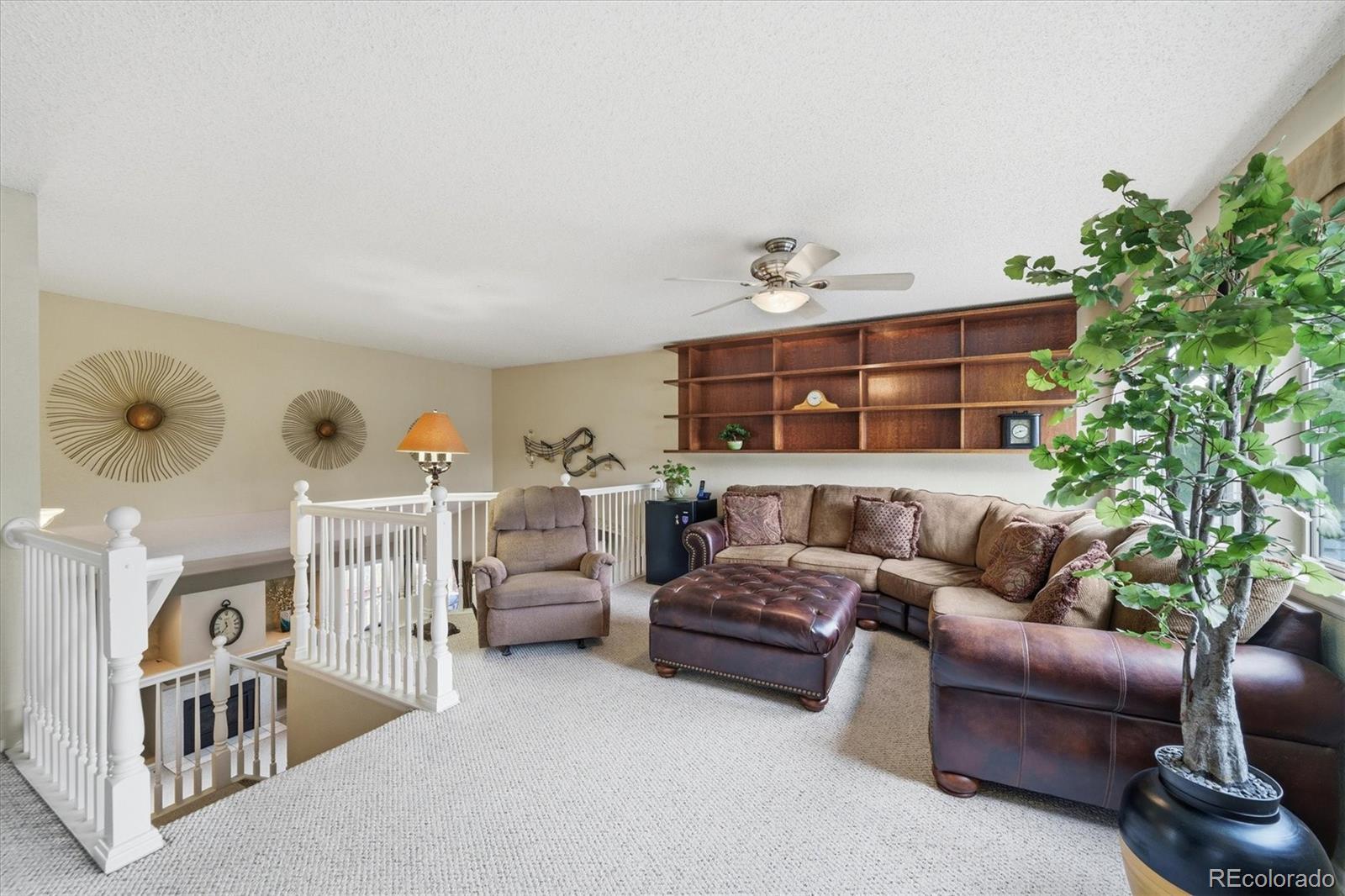 4875 E 117th Drive Thornton CO 80233
