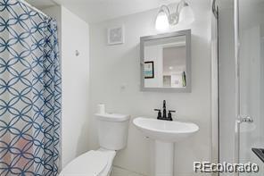 2443 S Williams Street Denver CO 80210