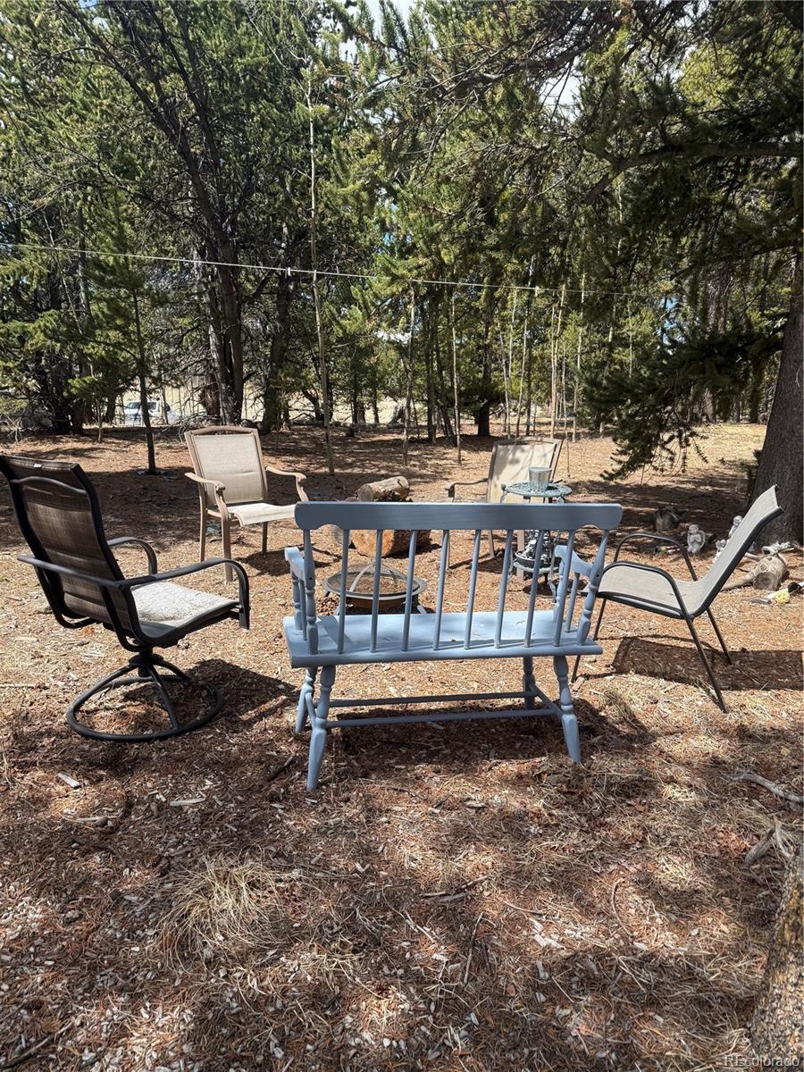 237 Foxtail Court Fairplay CO 80440