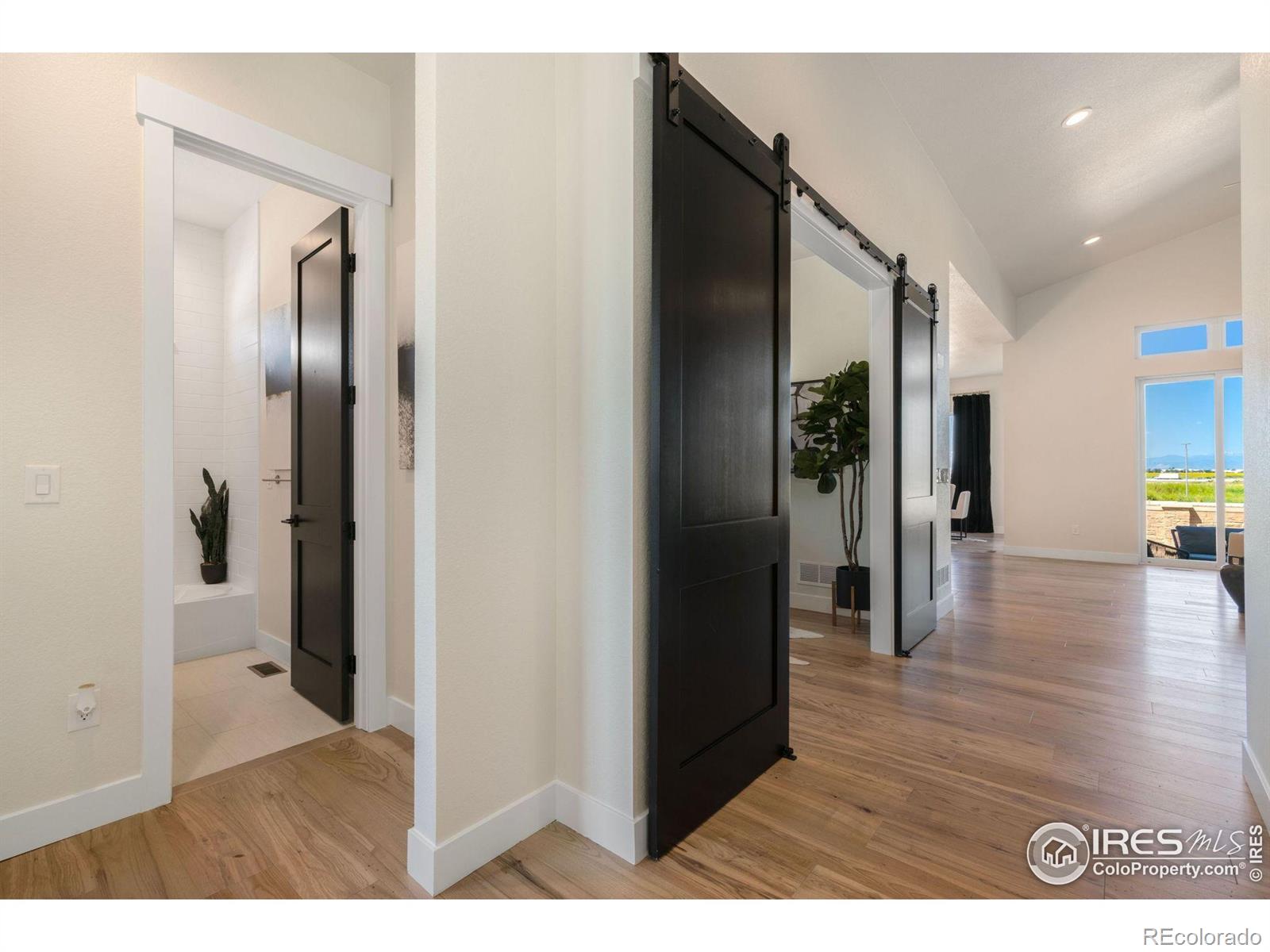 3631 N Buchanan Court Aurora CO 80019