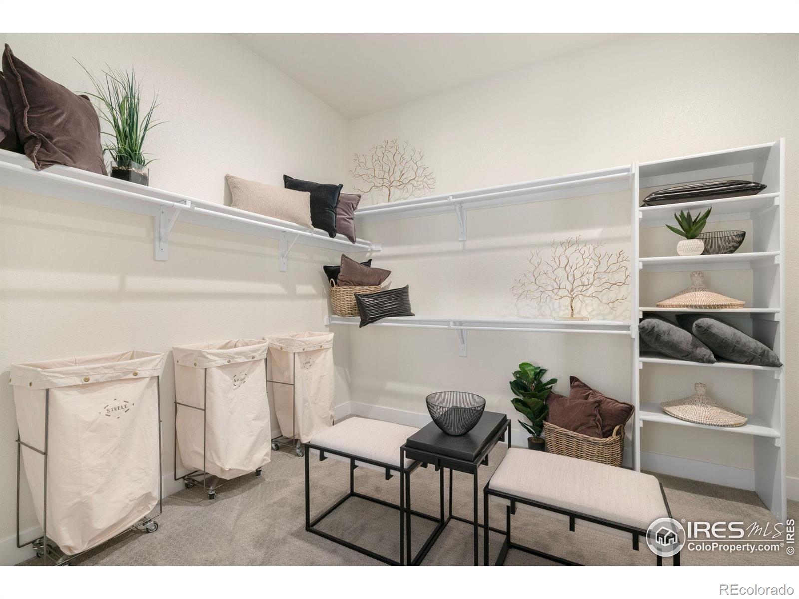 3631 N Buchanan Court Aurora CO 80019