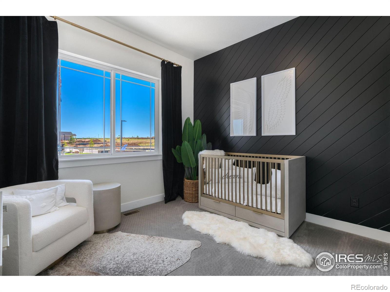 3631 N Buchanan Court Aurora CO 80019