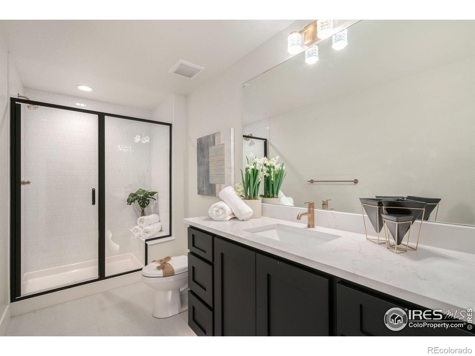 3631 N Buchanan Court Aurora CO 80019