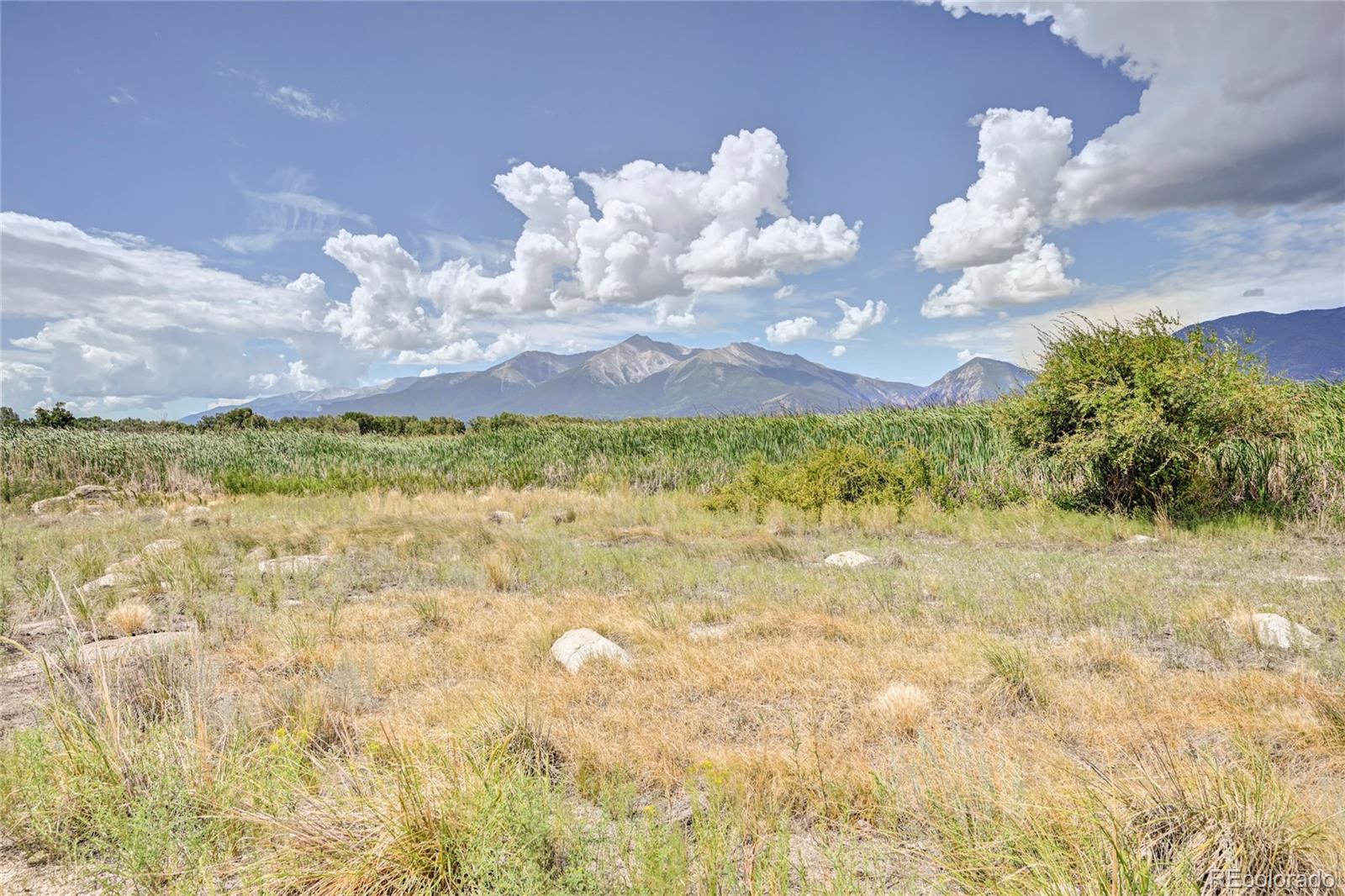 29854 Teal Run Buena Vista CO 81211