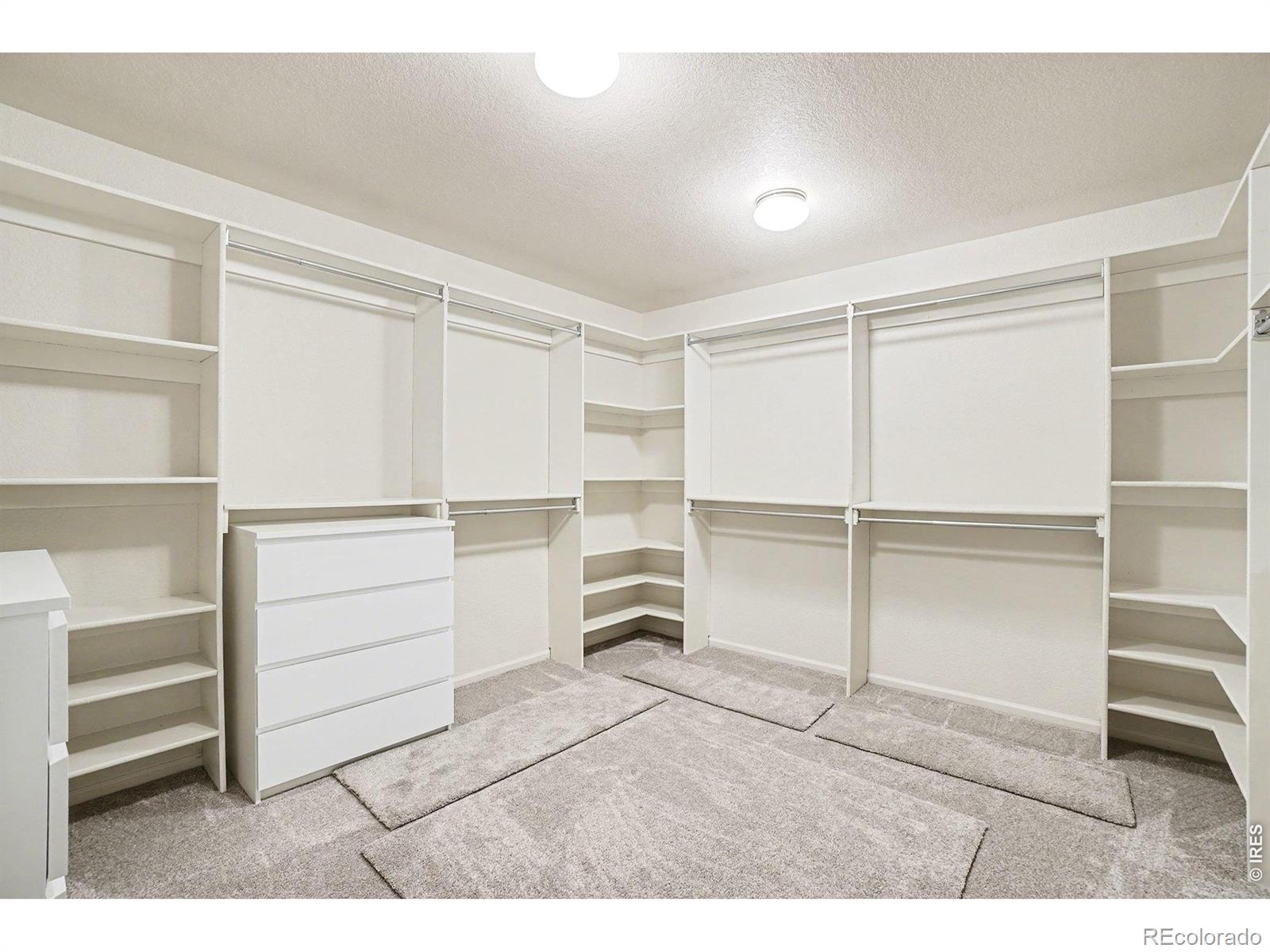1943 Lochmore Drive Longmont CO 80504