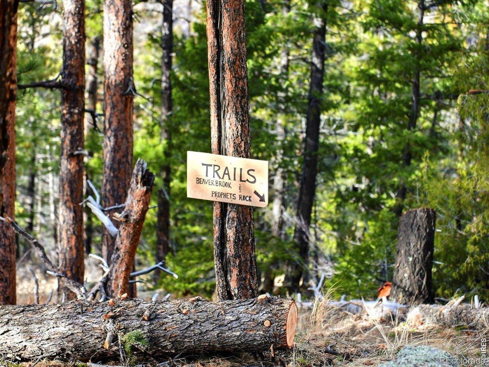 290 Skyhill Drive Evergreen CO 80439
