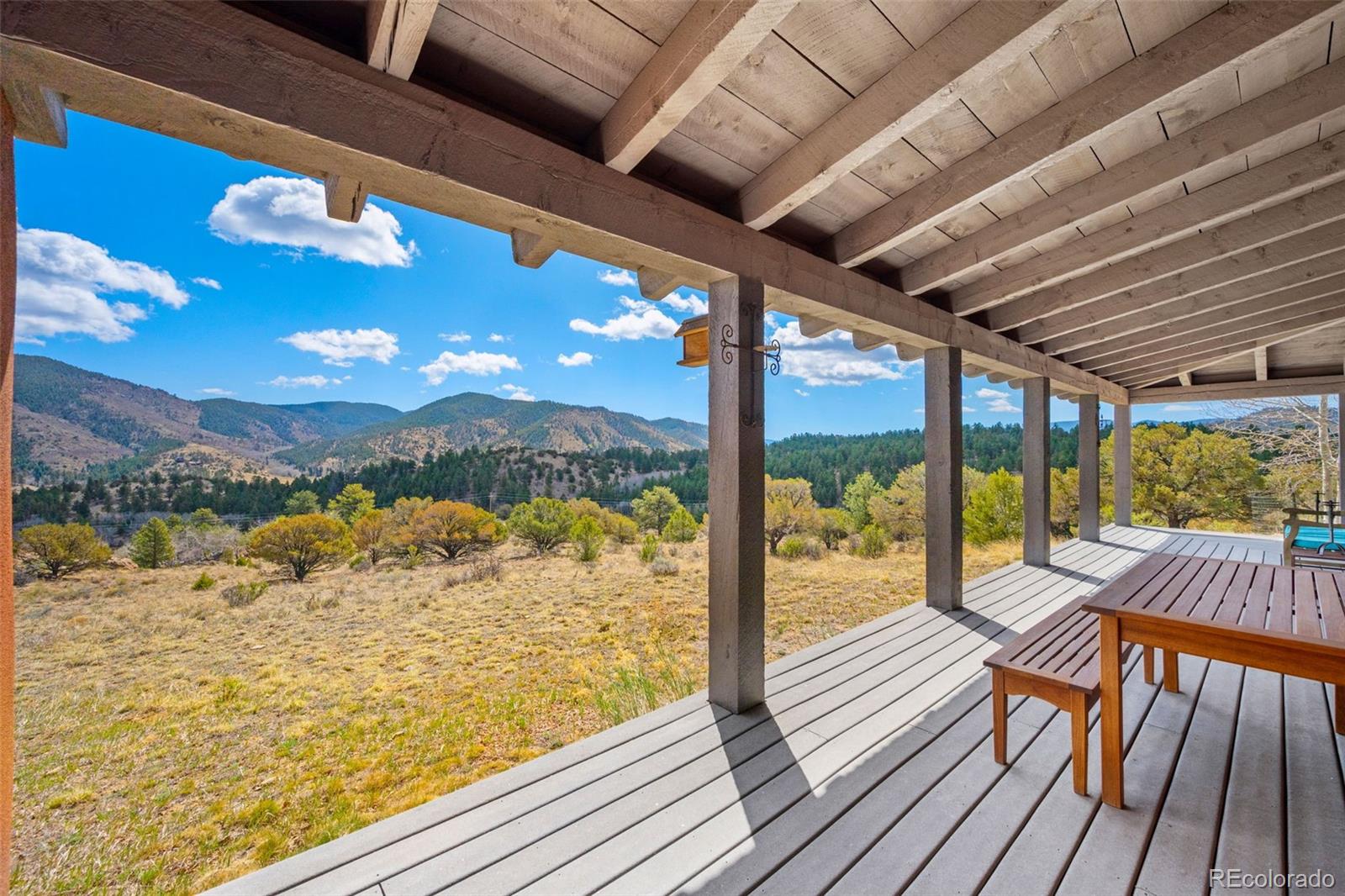 1275 Tibby Trail Westcliffe CO 81252