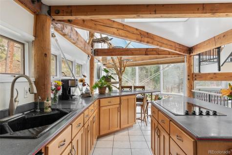 8176 S Deer Creek Canyon Road Morrison CO 80465