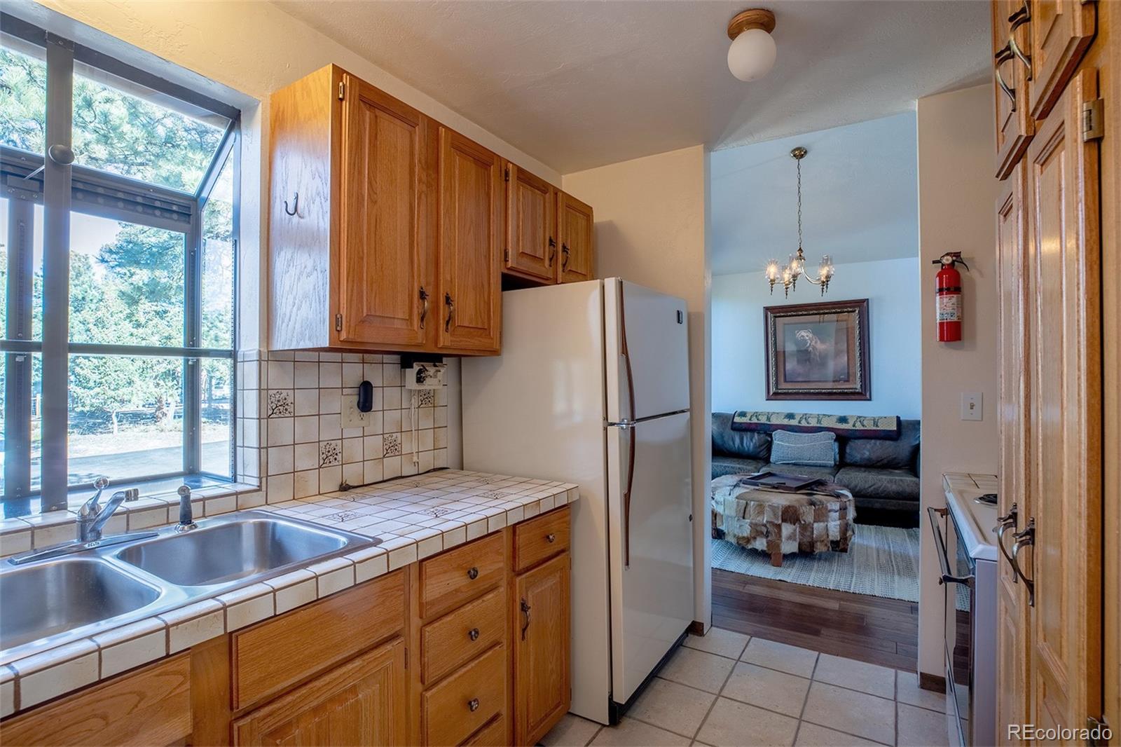 6997 Skunk Alley Evergreen CO 80439