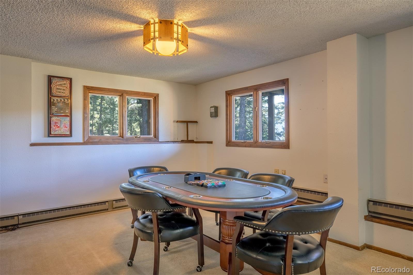 6997 Skunk Alley Evergreen CO 80439
