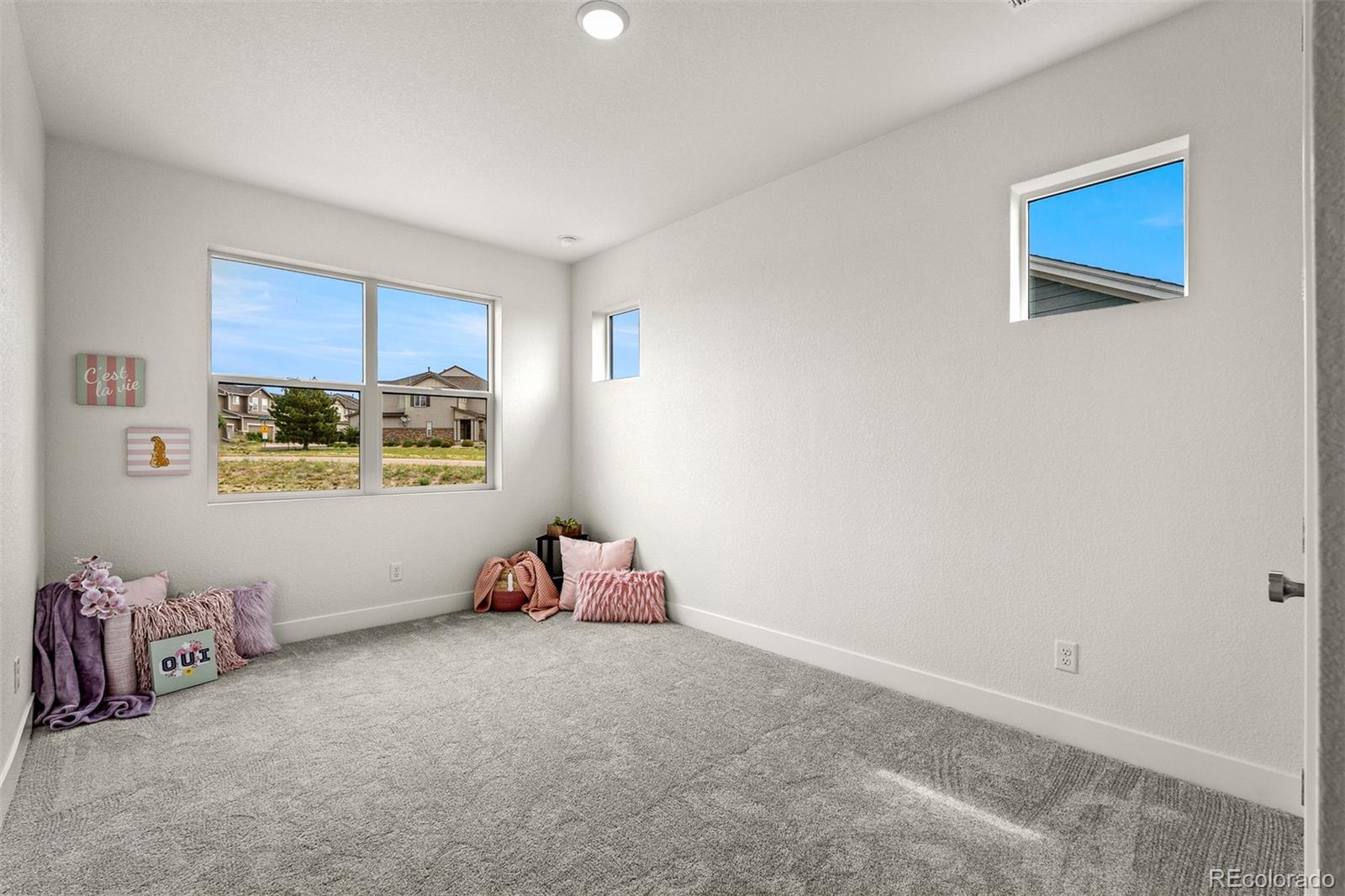 17137 Alsike Clover Court Monument CO 80132