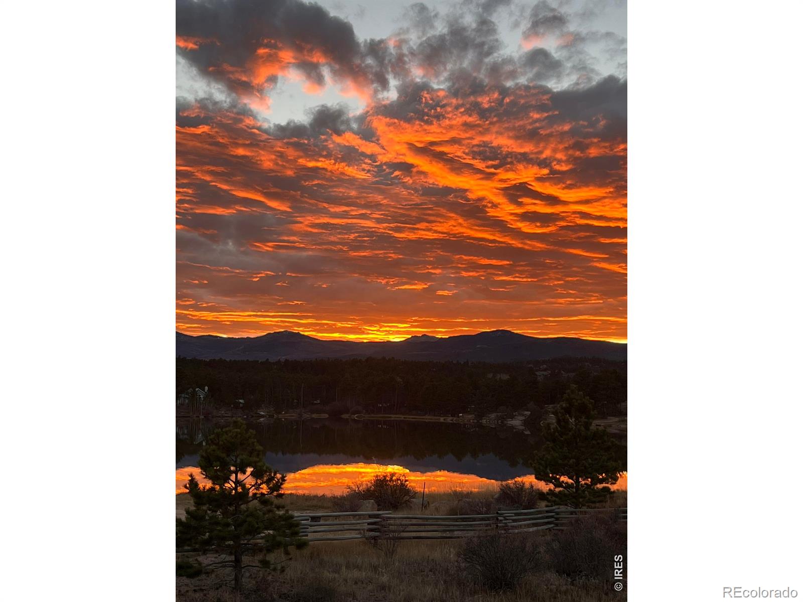 10 Mariposa Court Red Feather Lakes CO 80545