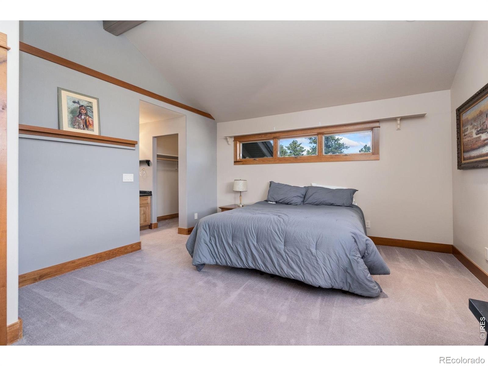 10 Mariposa Court Red Feather Lakes CO 80545