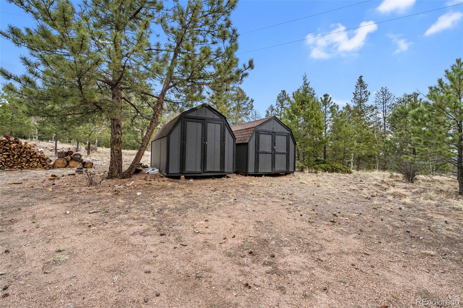 1366 Vagabond Creek Drive Lake George CO 80827