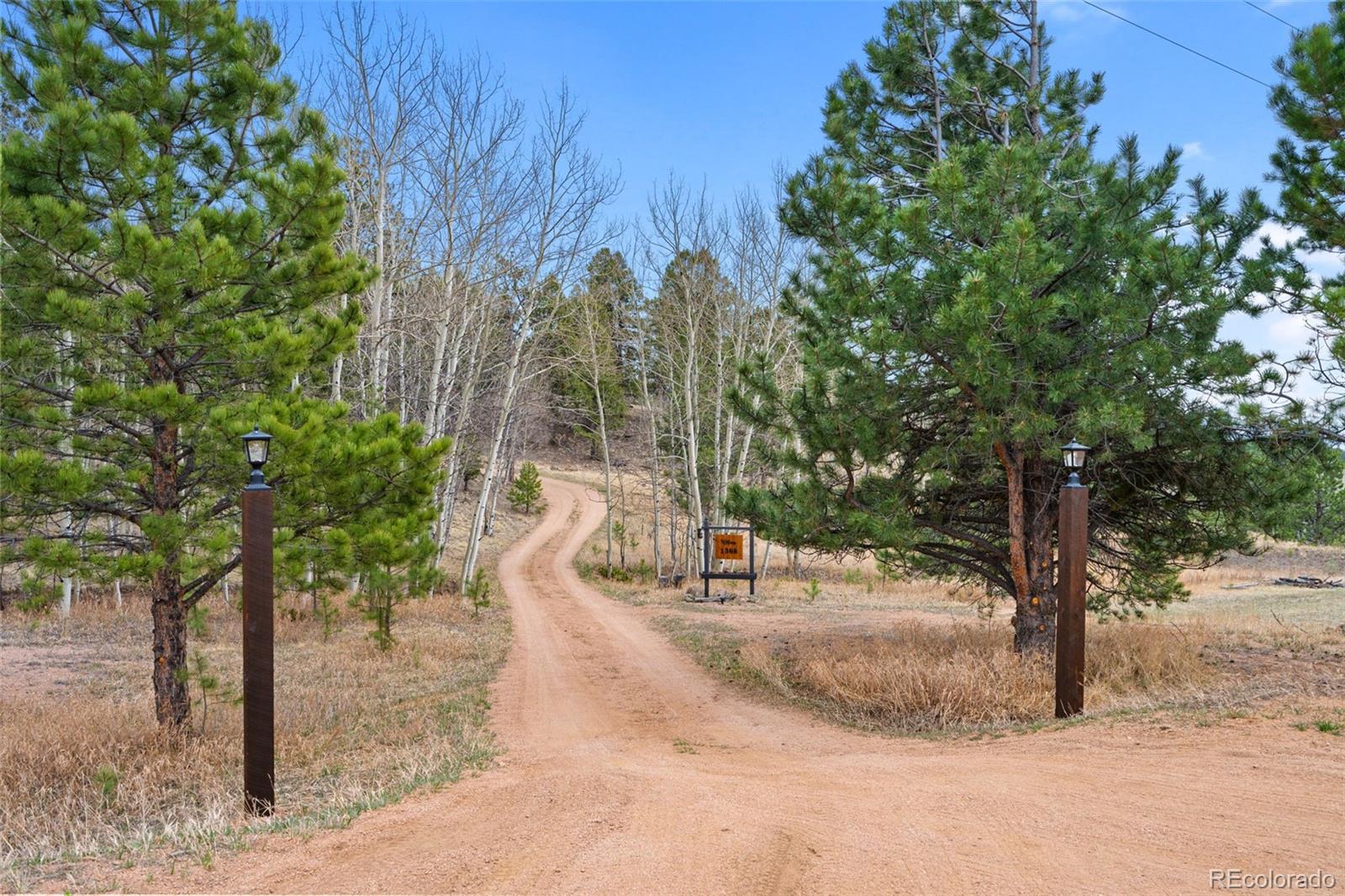1366 Vagabond Creek Drive Lake George CO 80827