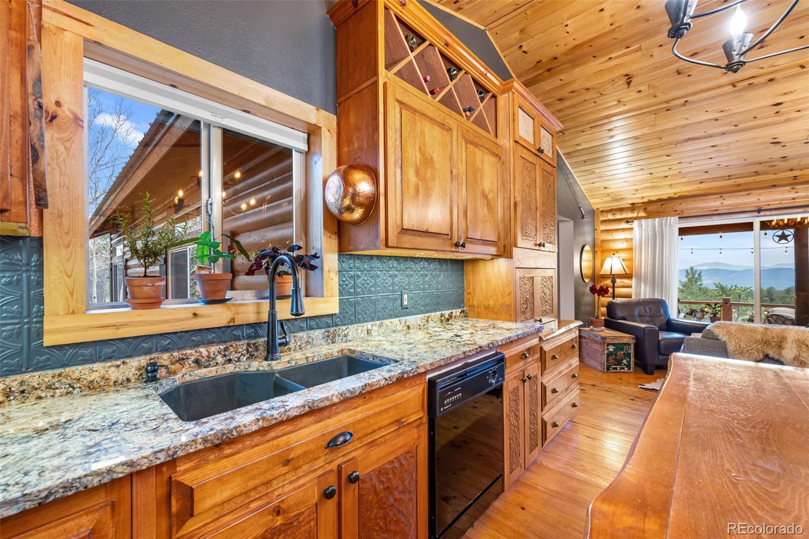 1366 Vagabond Creek Drive Lake George CO 80827