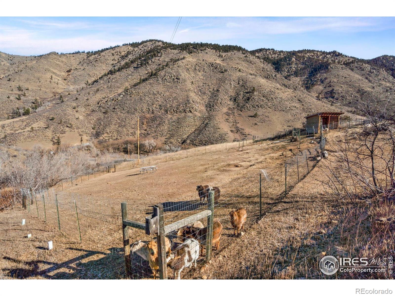 90 Redtail Ridge Way Bellvue CO 80512