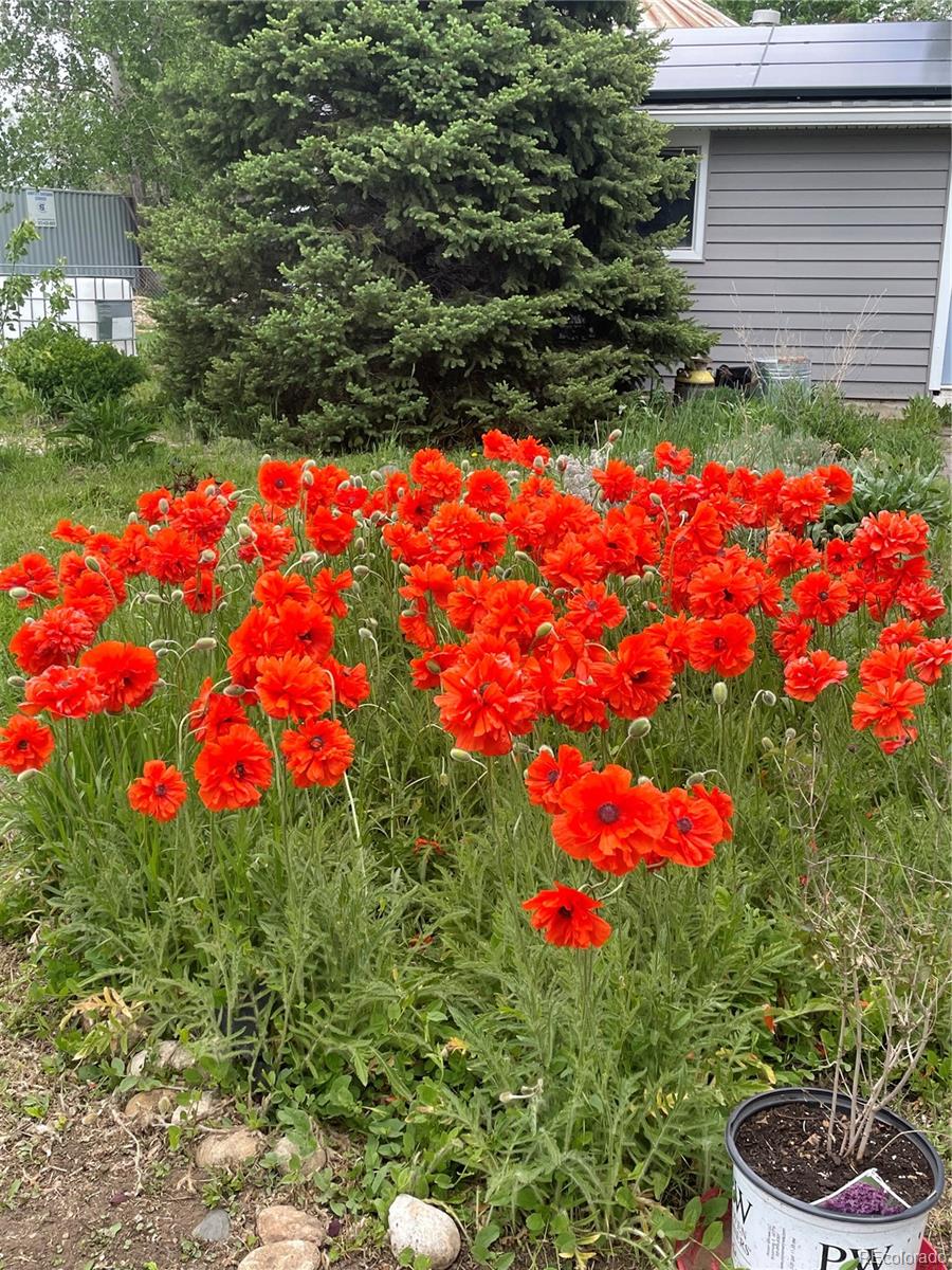 5215 Eldridge Street Arvada CO 80002