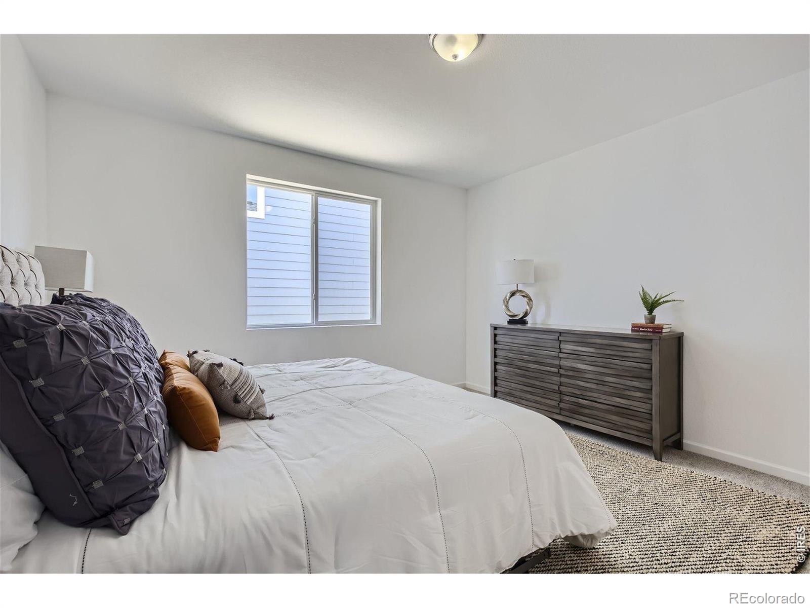 648 Noola Street Windsor CO 80550