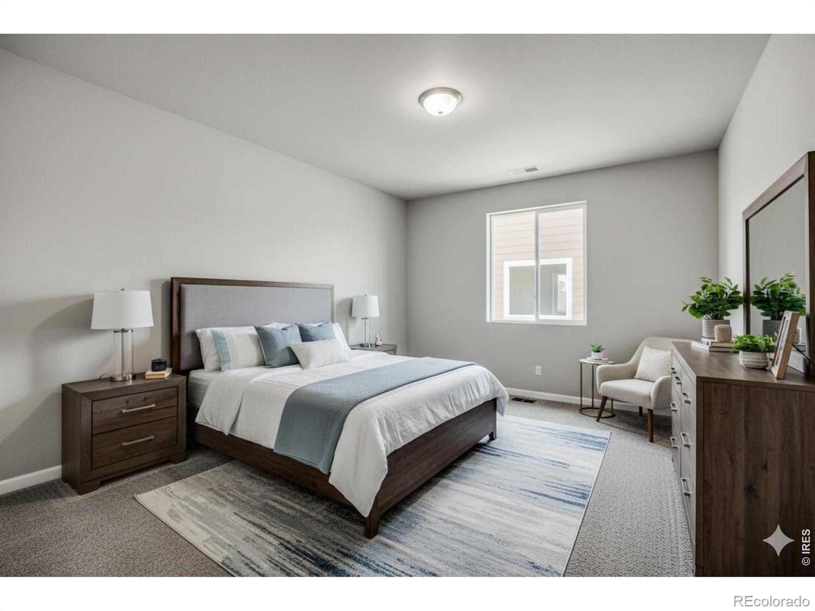 648 Noola Street Windsor CO 80550