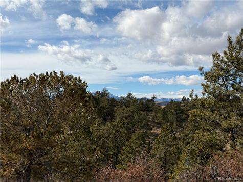 587 Willow Street Hartsel CO 80449