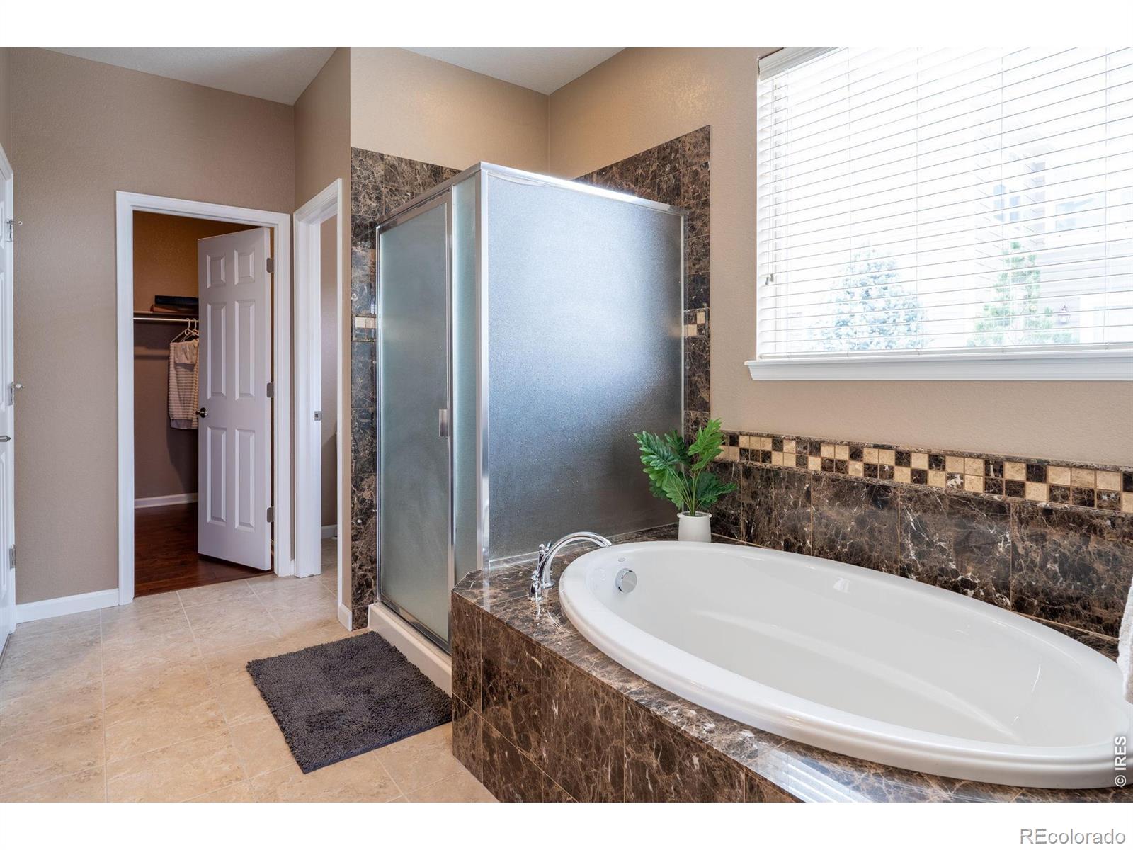 2314 Lodgepole Creek Drive Fort Collins CO 80528