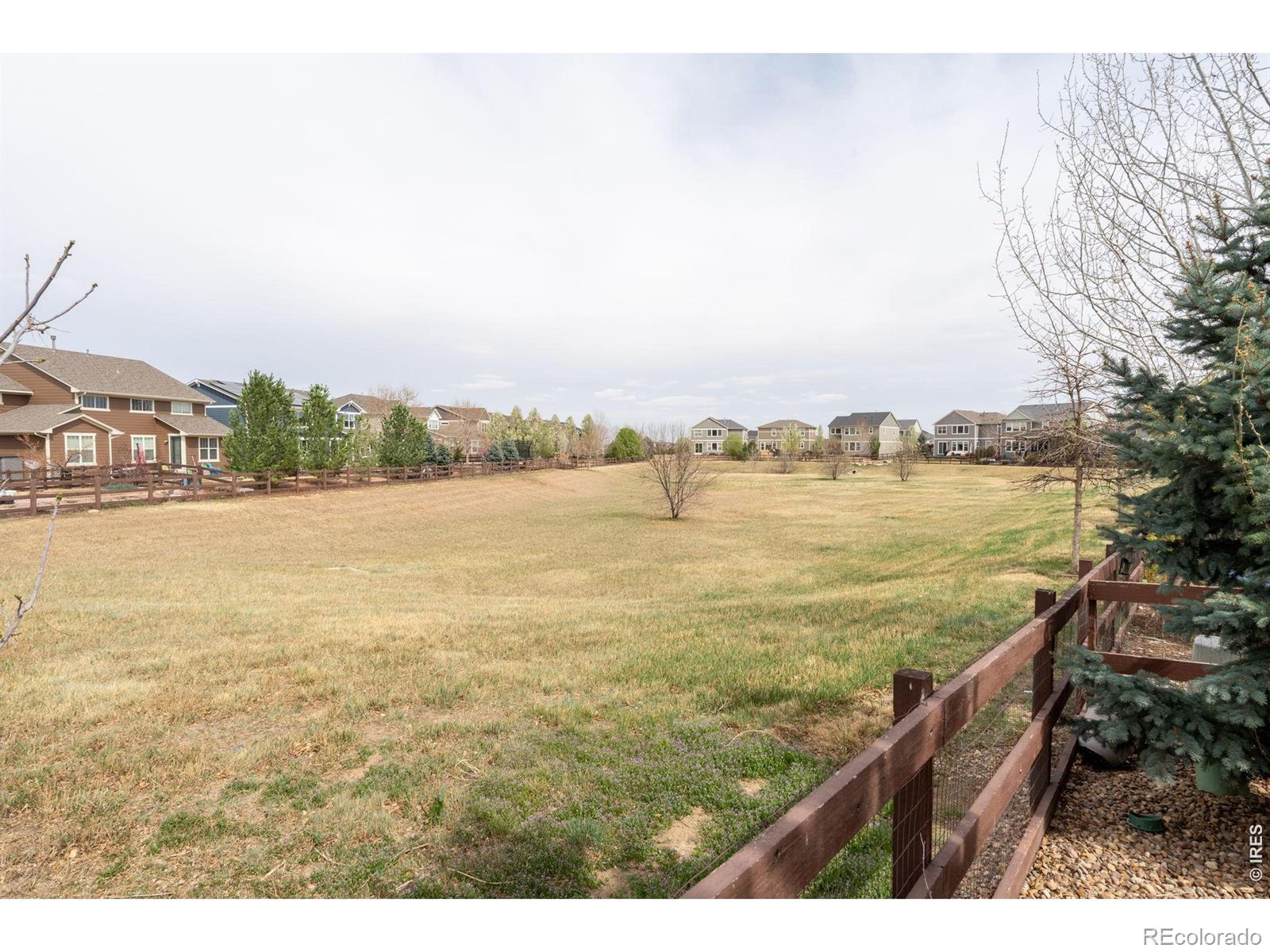 2314 Lodgepole Creek Drive Fort Collins CO 80528