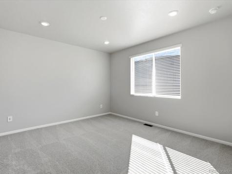 1612 Rumley Creek Drive Windsor CO 80550