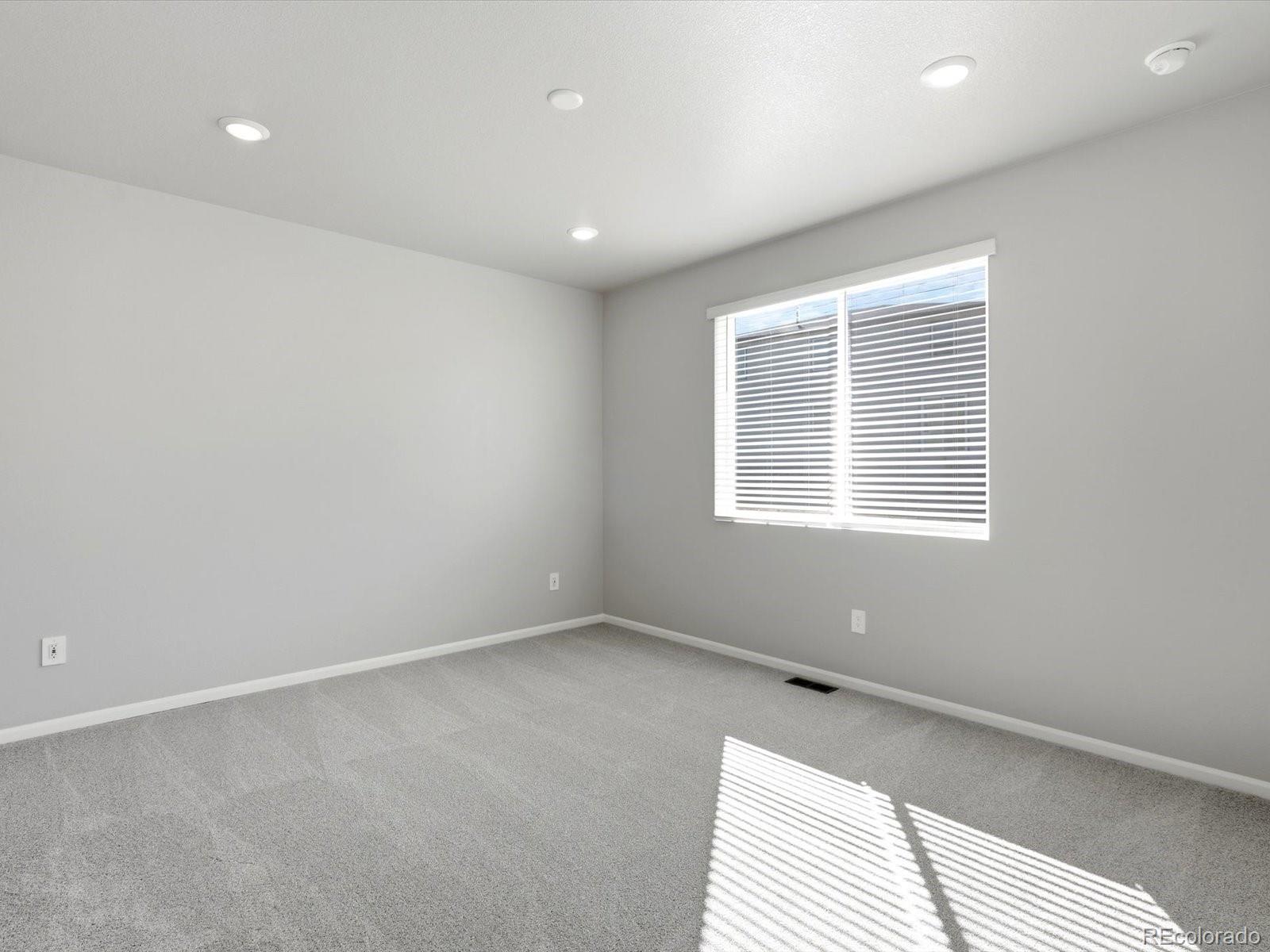 1612 Rumley Creek Drive Windsor CO 80550