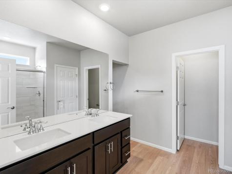 1612 Rumley Creek Drive Windsor CO 80550