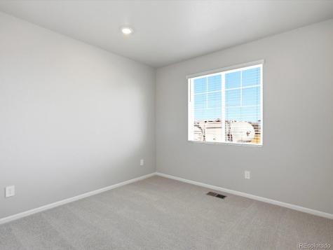 1612 Rumley Creek Drive Windsor CO 80550