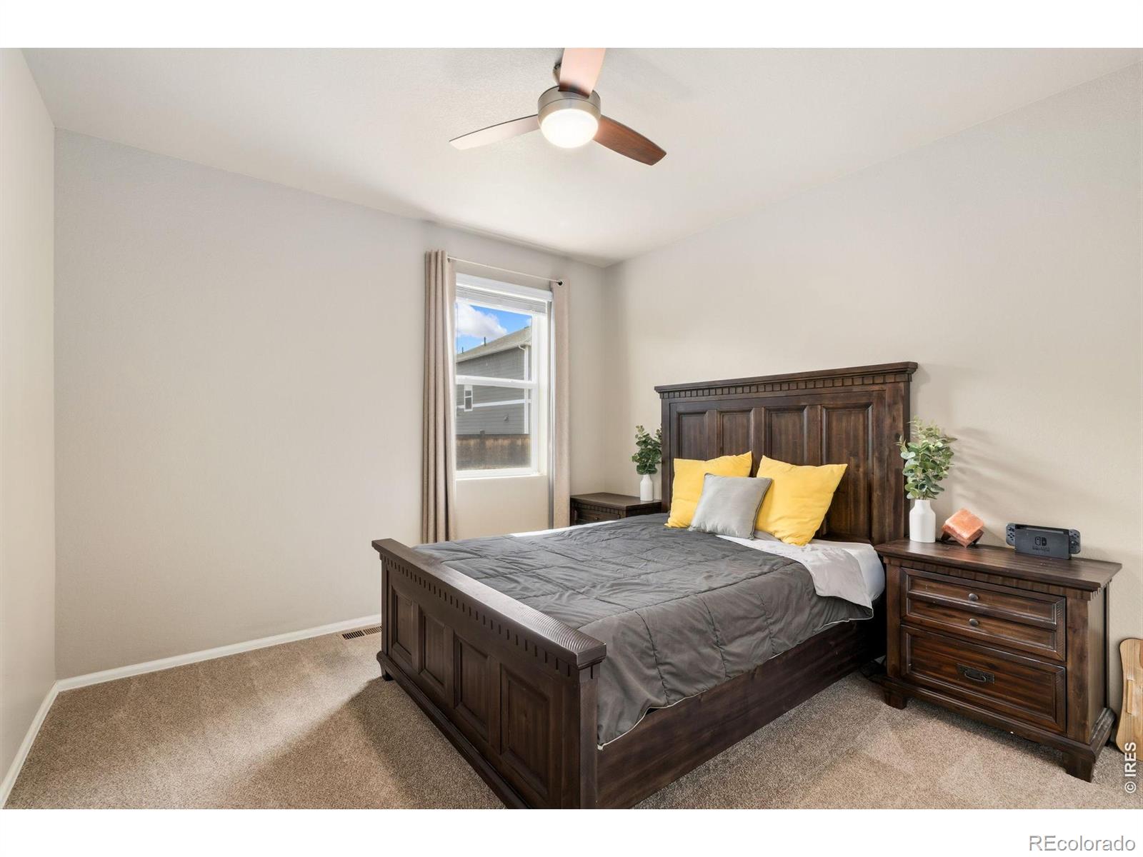 3713 Torch Lily Street Wellington CO 80549