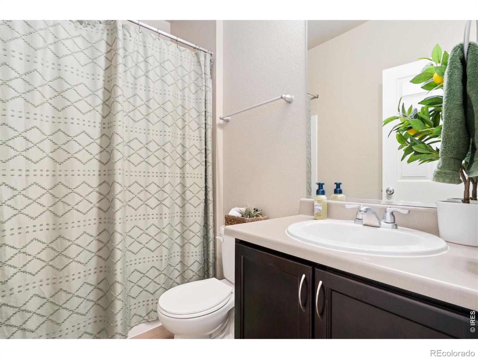 3713 Torch Lily Street Wellington CO 80549