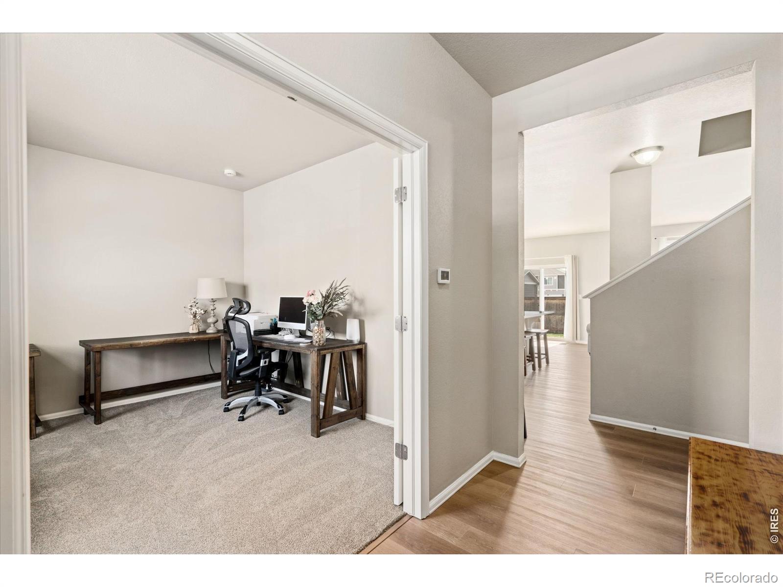 3713 Torch Lily Street Wellington CO 80549