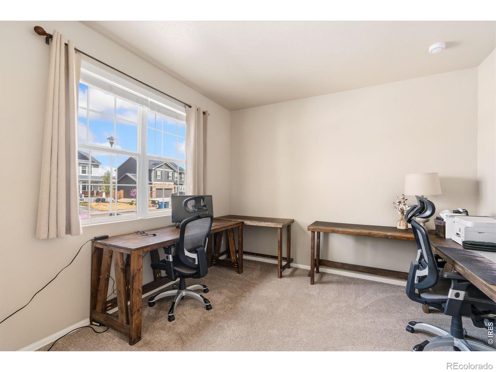 3713 Torch Lily Street Wellington CO 80549
