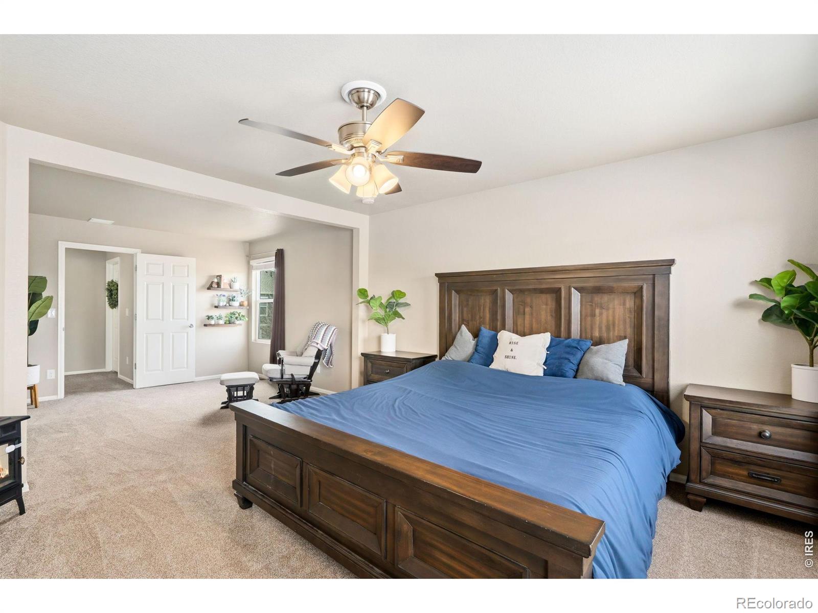 3713 Torch Lily Street Wellington CO 80549