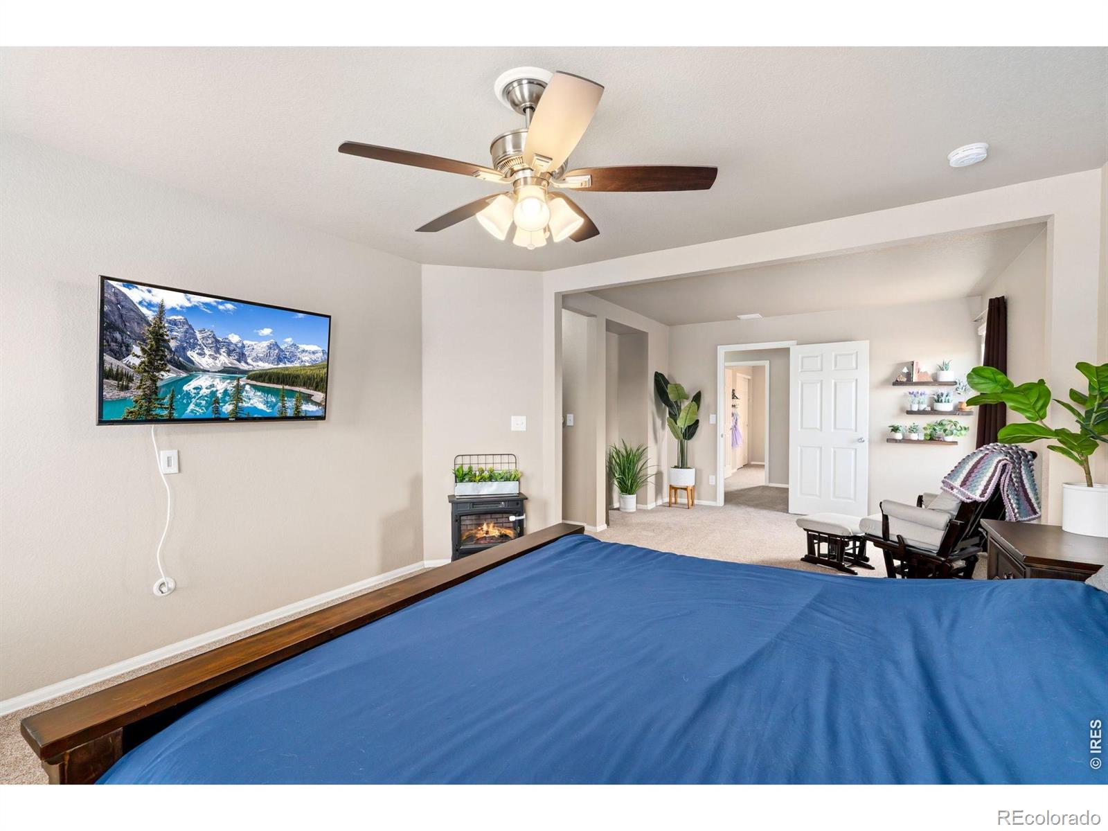 3713 Torch Lily Street Wellington CO 80549