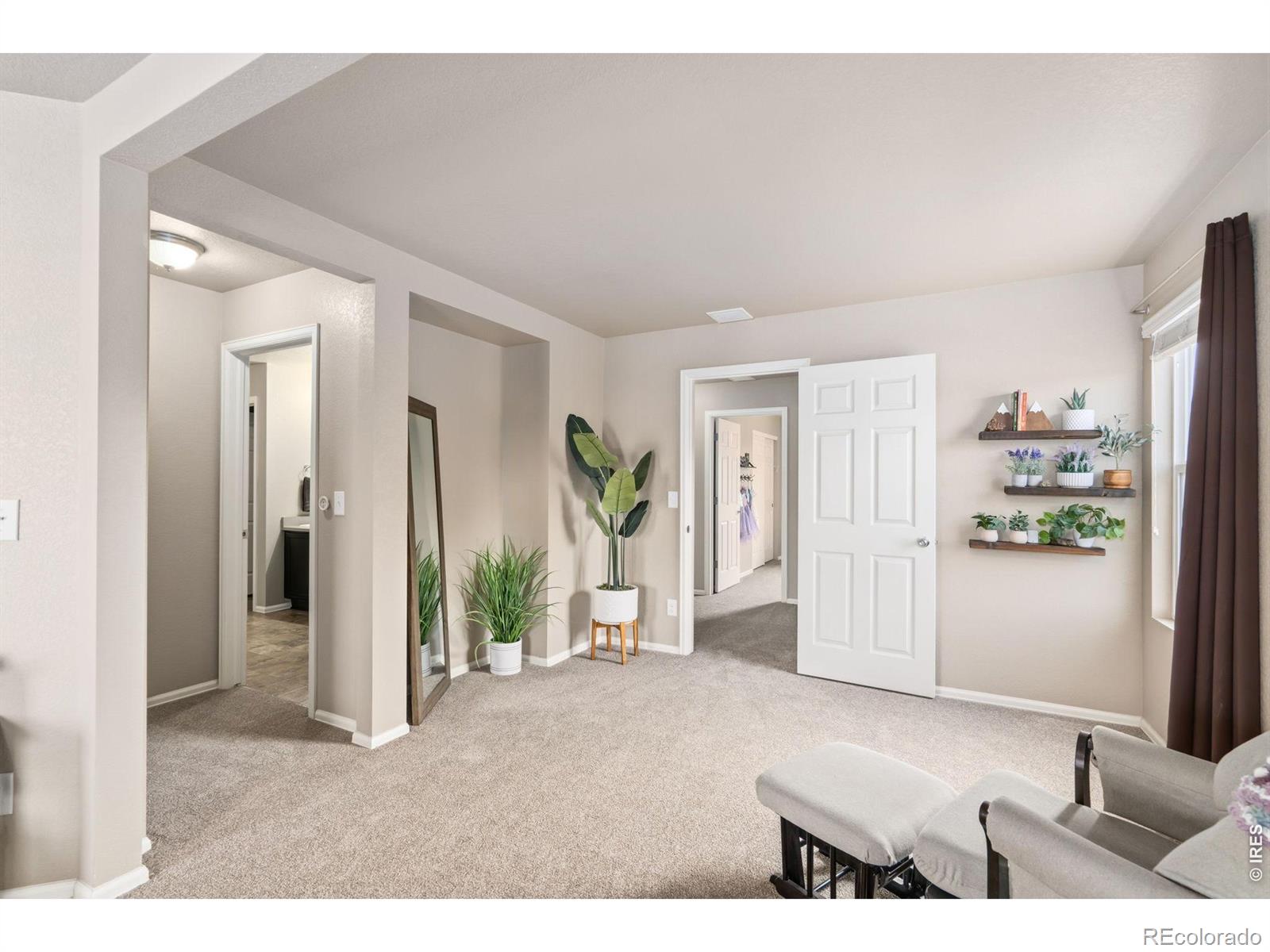 3713 Torch Lily Street Wellington CO 80549