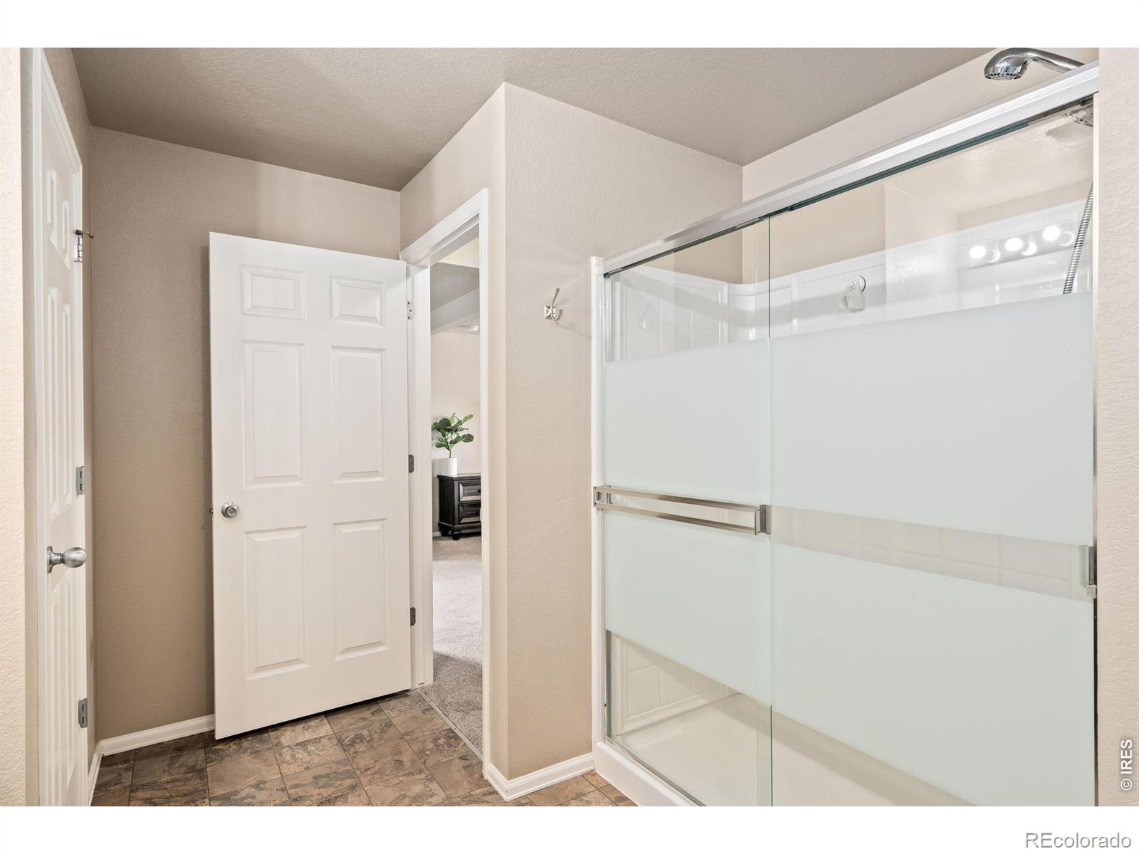 3713 Torch Lily Street Wellington CO 80549