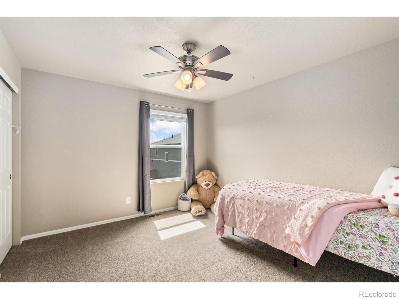3713 Torch Lily Street Wellington CO 80549