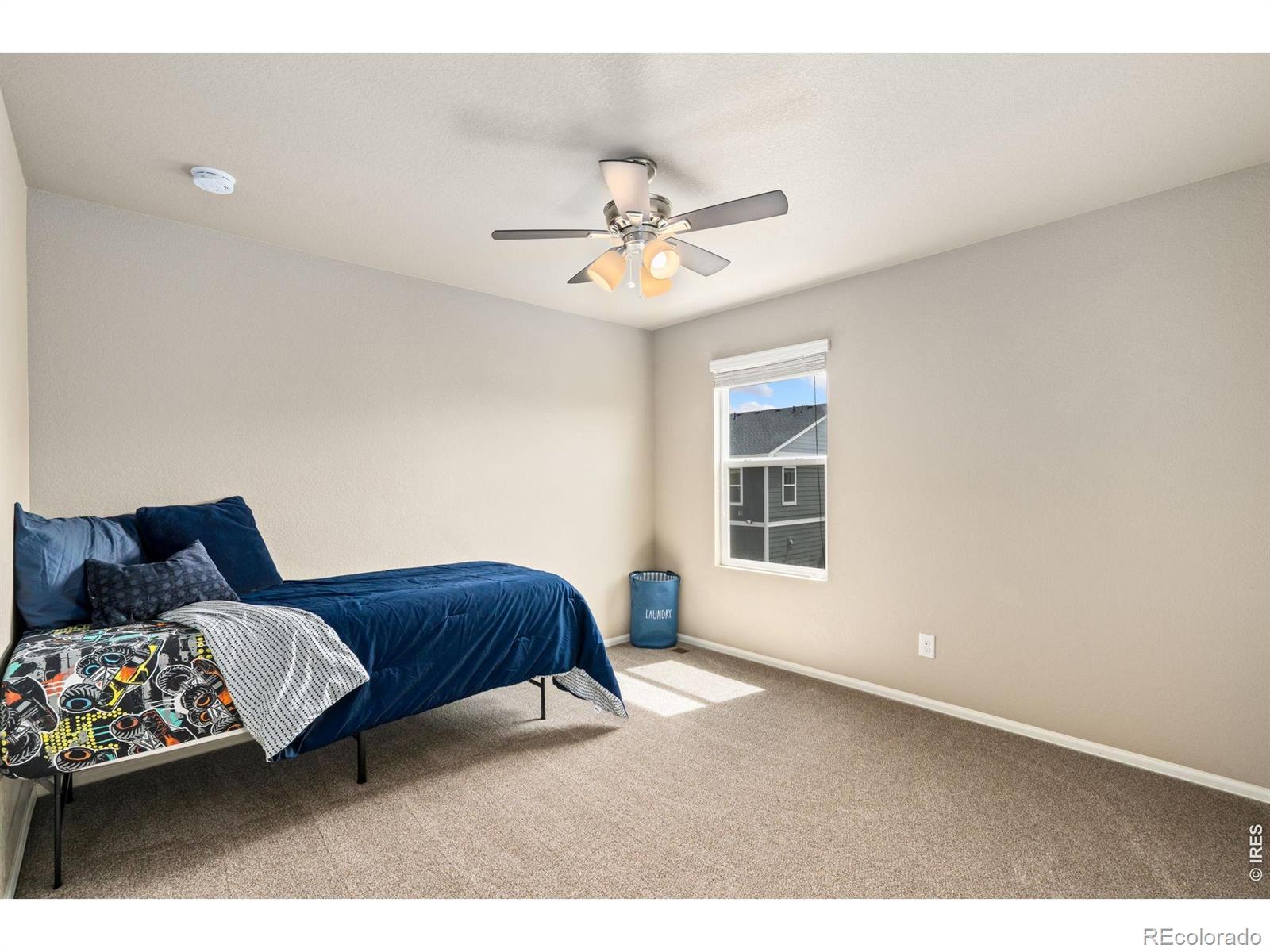 3713 Torch Lily Street Wellington CO 80549
