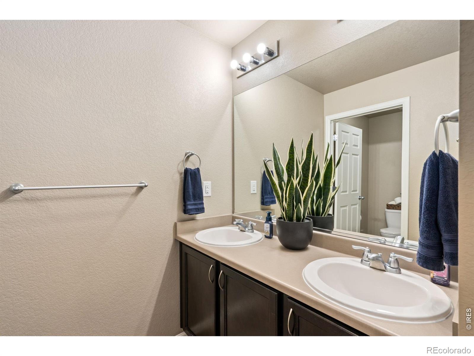 3713 Torch Lily Street Wellington CO 80549