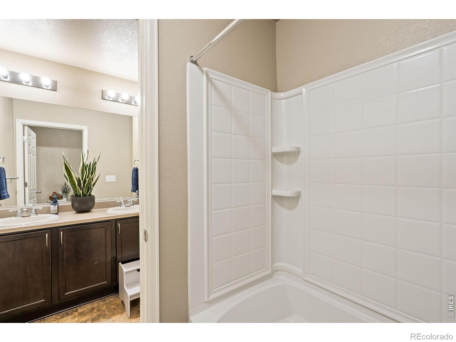 3713 Torch Lily Street Wellington CO 80549