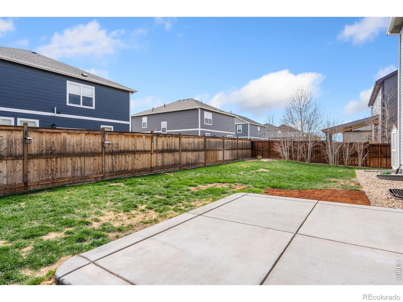 3713 Torch Lily Street Wellington CO 80549