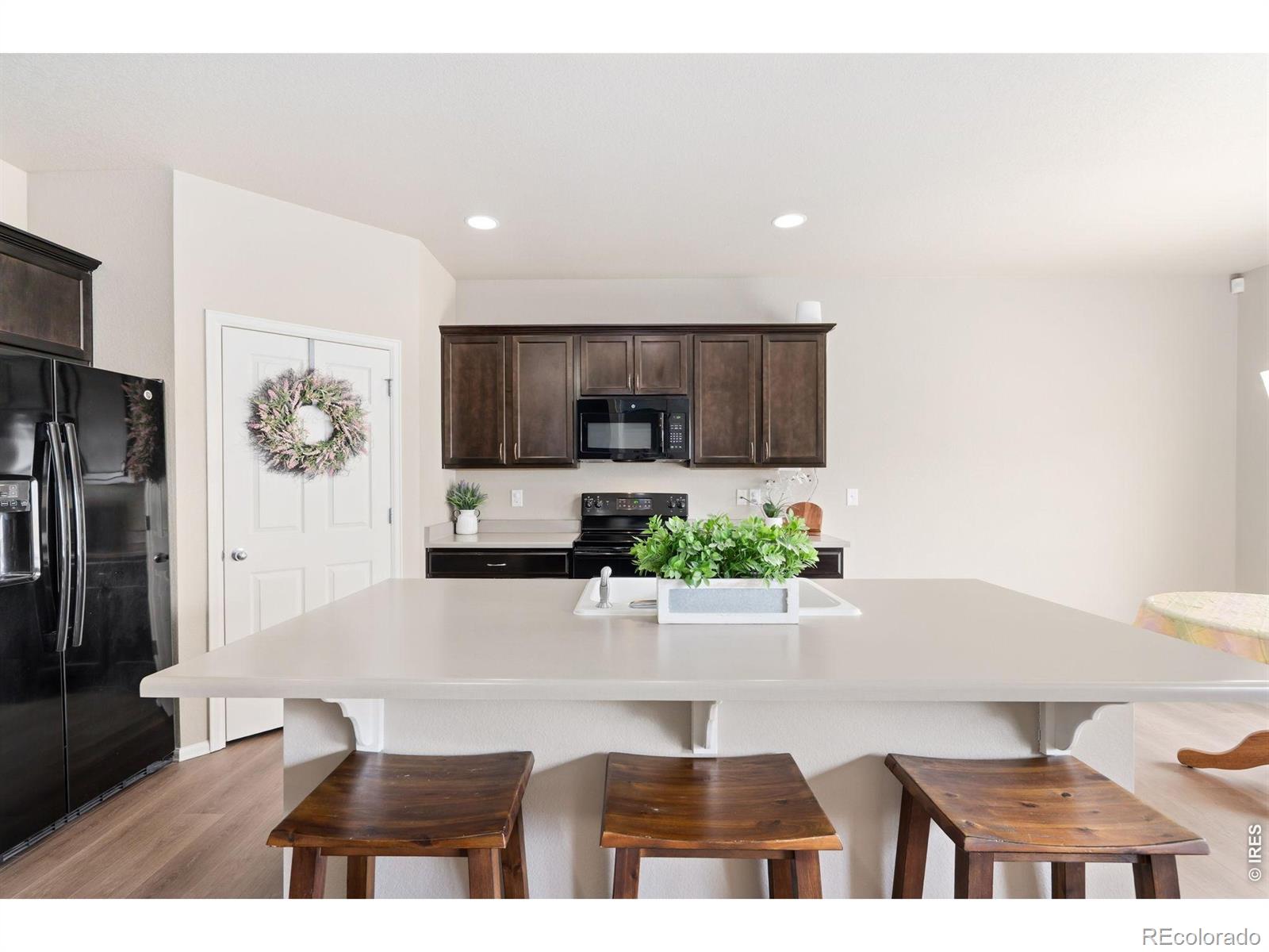 3713 Torch Lily Street Wellington CO 80549