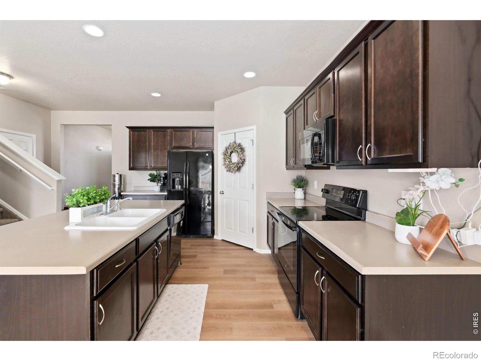3713 Torch Lily Street Wellington CO 80549