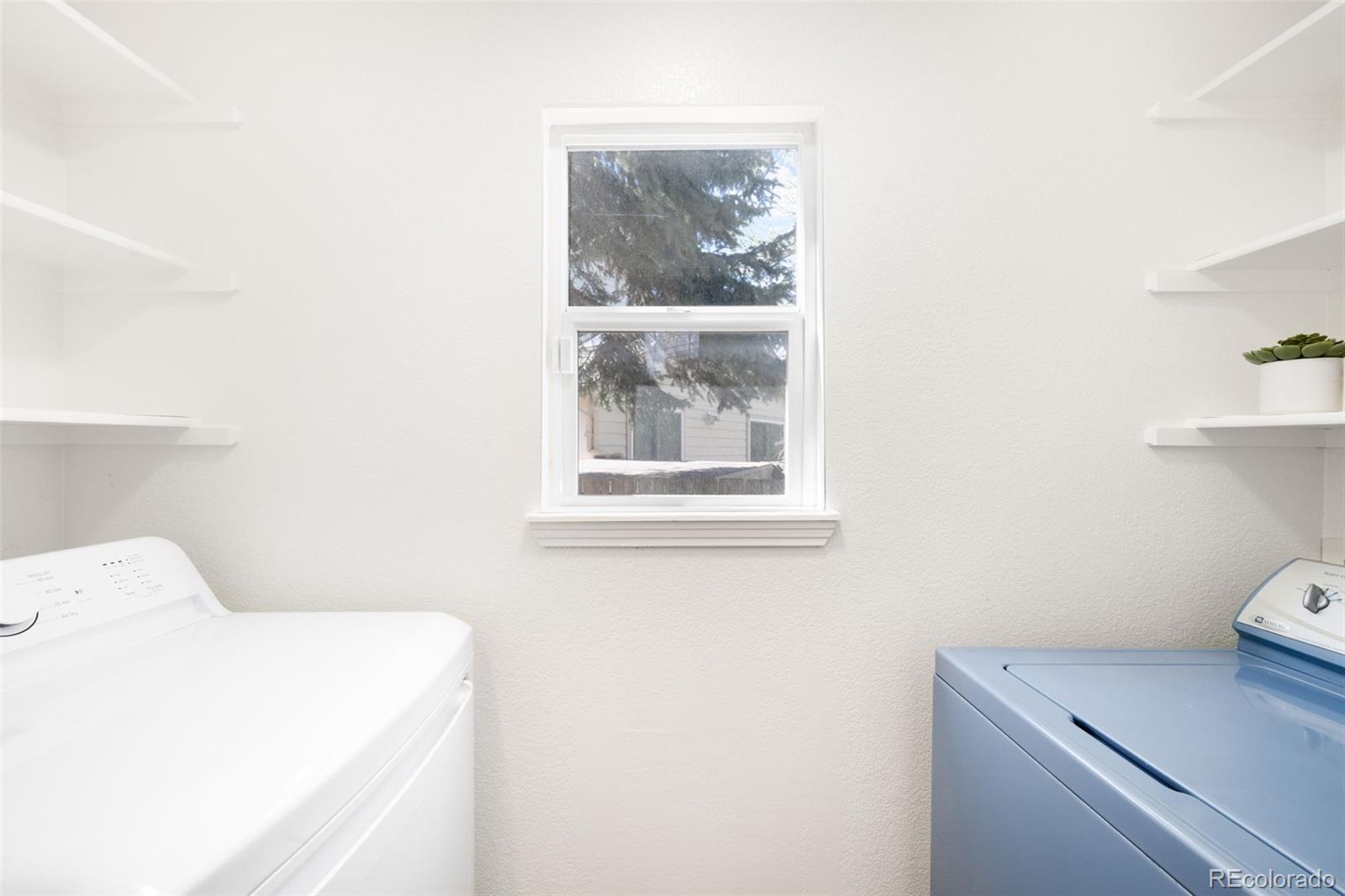 8305 Moore Street Arvada CO 80005