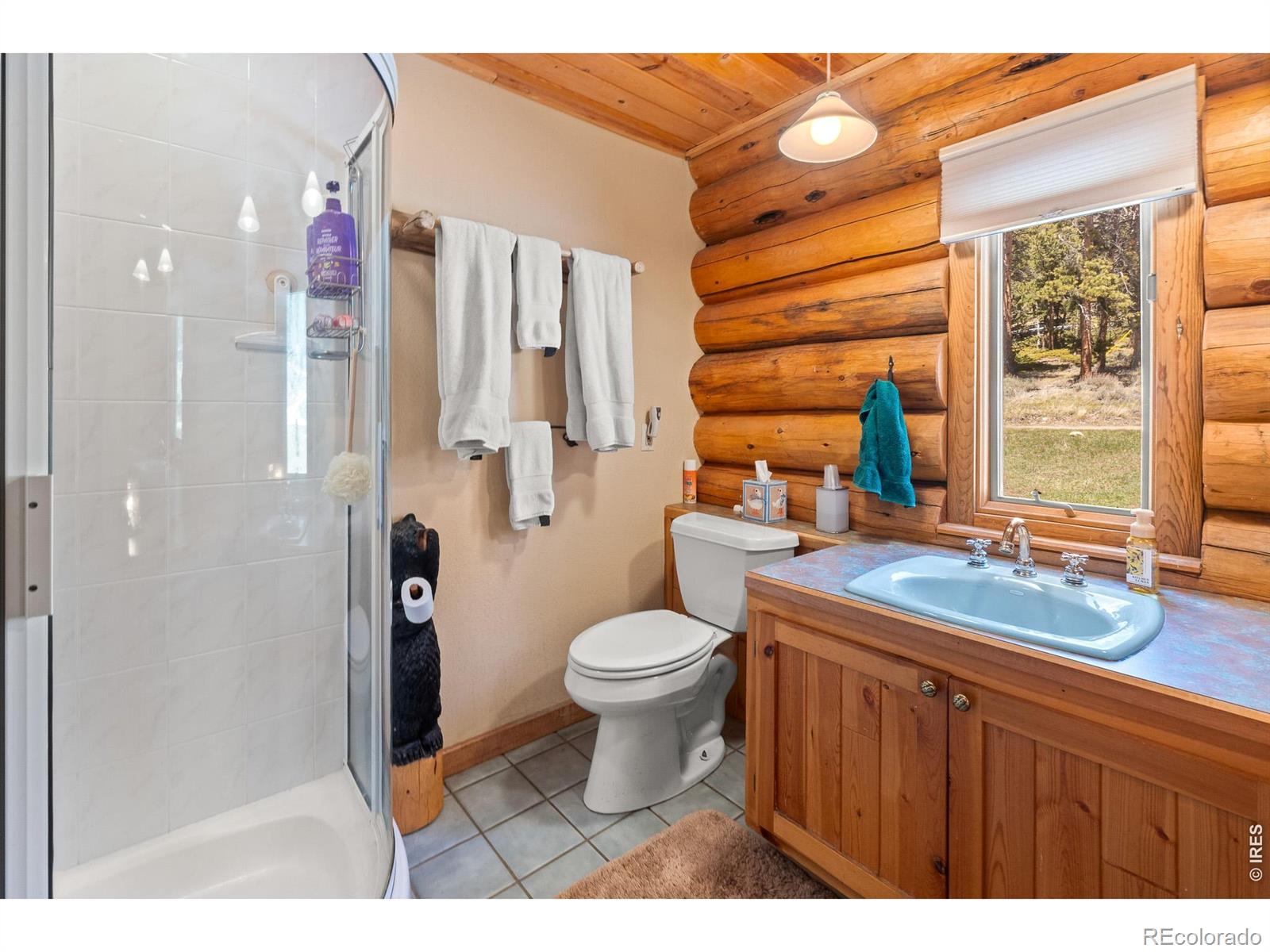 24 Sarsi Court Red Feather Lakes CO 80545