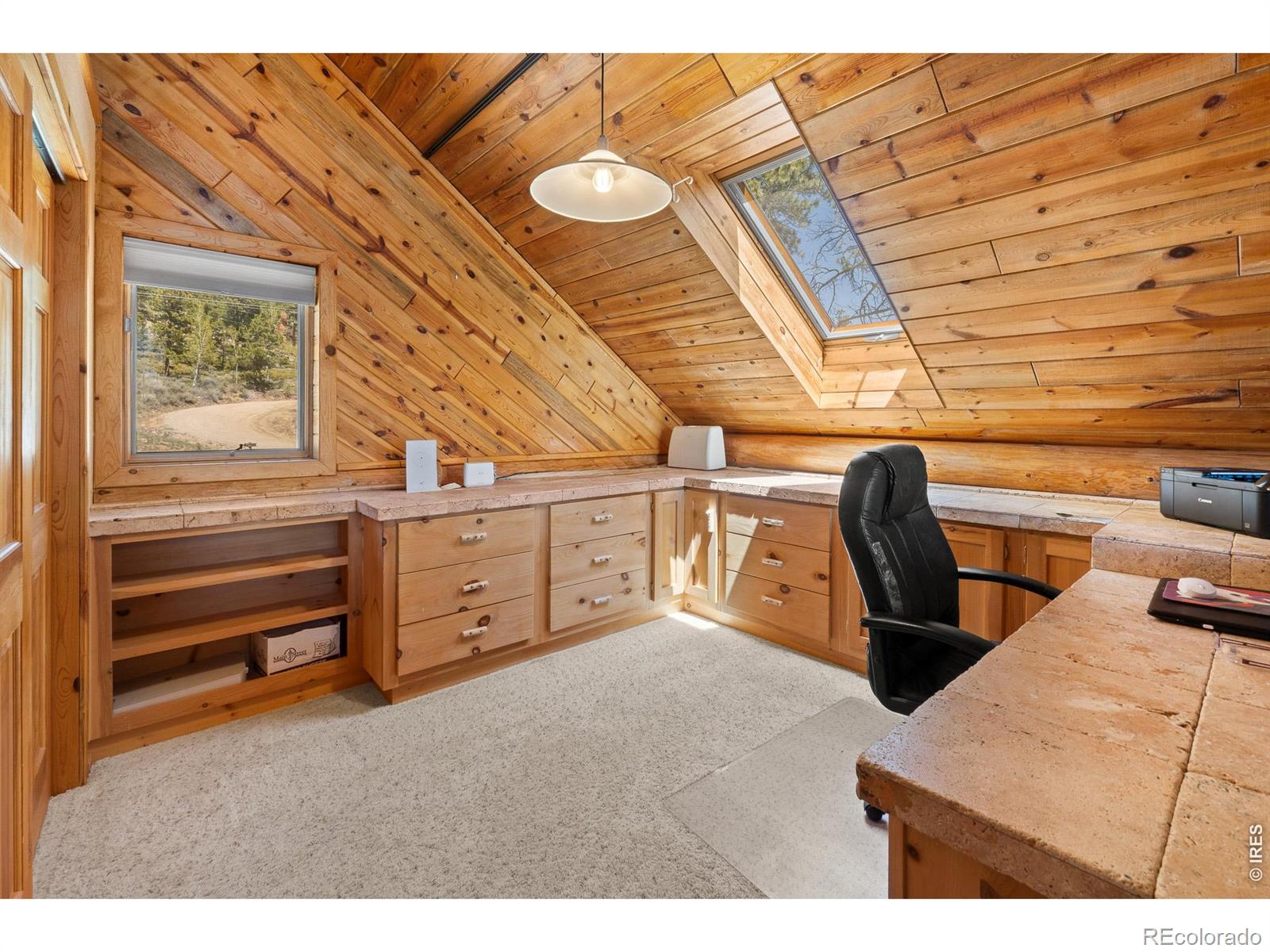 24 Sarsi Court Red Feather Lakes CO 80545